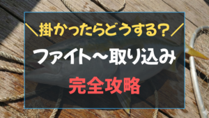 ジギングで魚が掛かったらどうする？ジギング ファイト ランディング完全攻略マニュアルのアイキャッチ画像