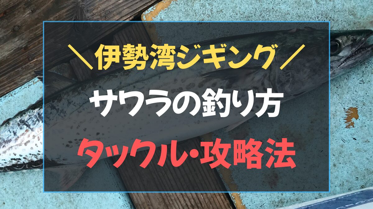 伊勢湾ジギング サワラ 釣り方 カッター対策を解説したアイキャッチ画像
