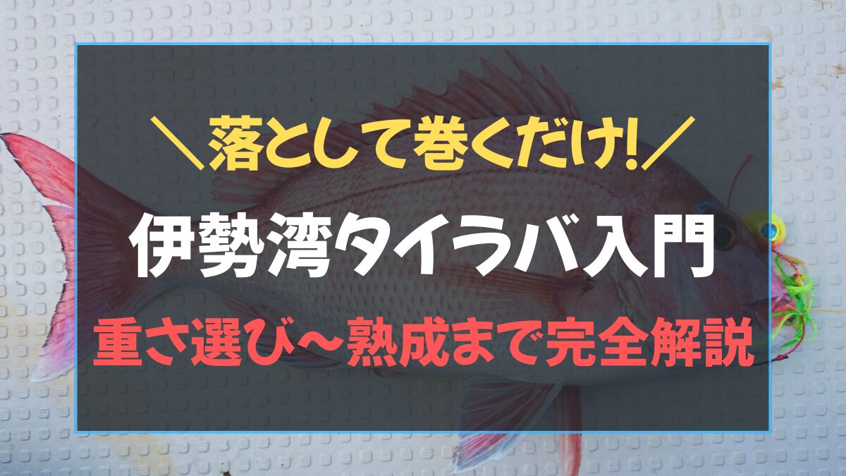 伊勢湾で釣れた美しいマダイとタイラバヘッドのアイキャッチ画像