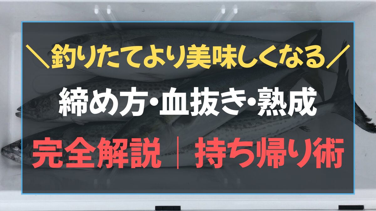 ジギング 締め方・血抜き・熟成を解説したアイキャッチ画像