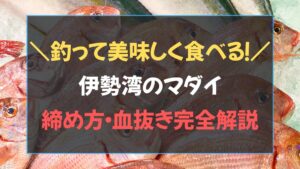 タイラバで釣ったマダイの締め方・血抜き・熟成、美味しく食べるまでをまとめた記事のアイキャッチ画像