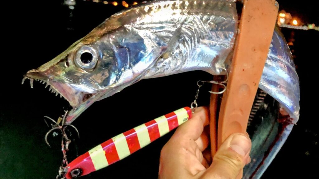 タチウオをジグで釣り上げた時の写真