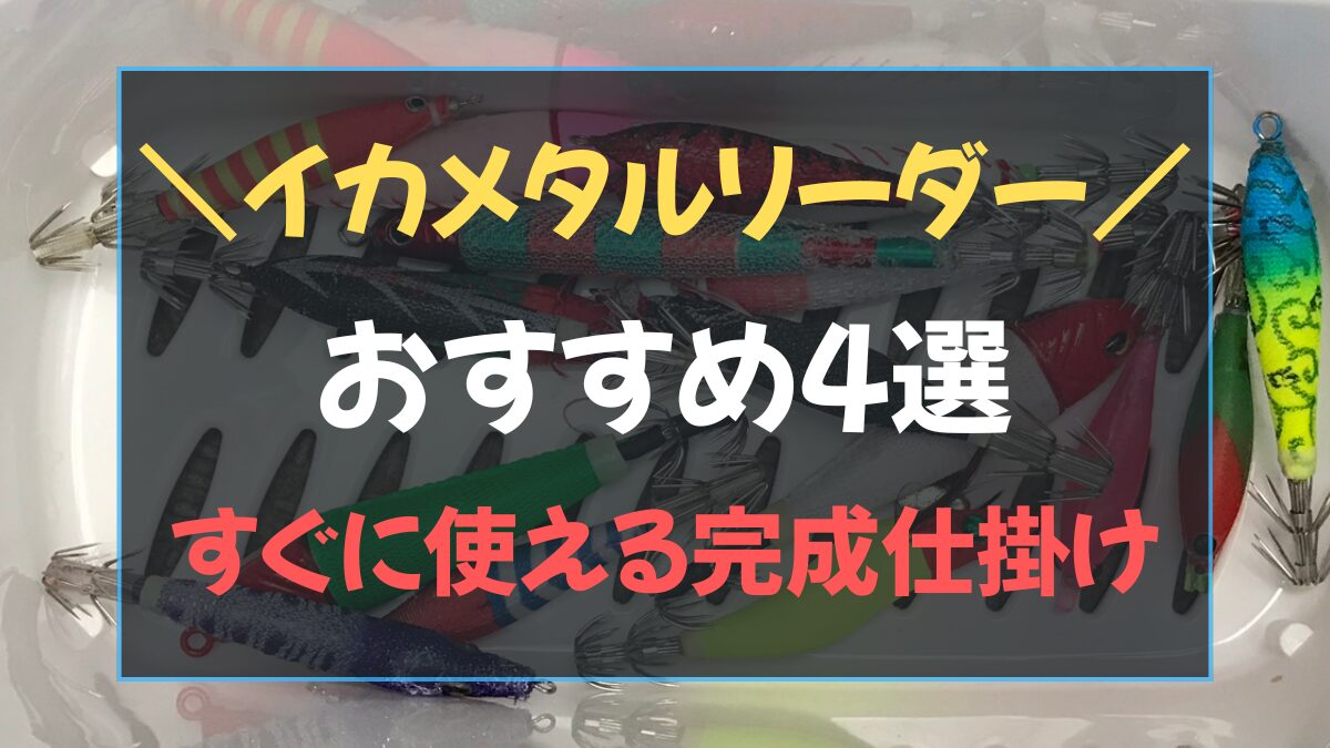 2026年最新】イカメタル リーダー おすすめ4選｜すぐに使える完成