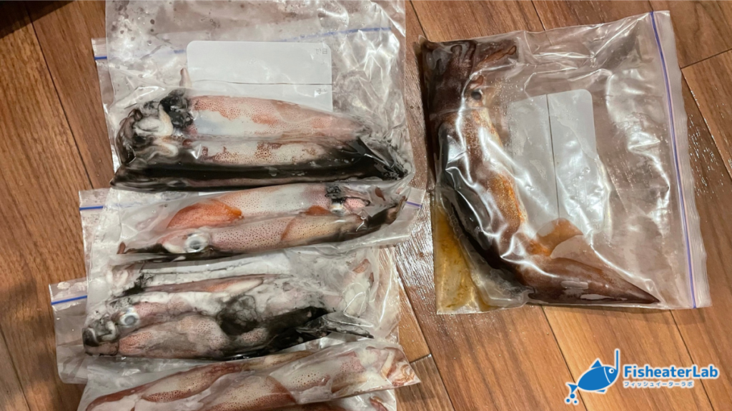 ジップロックにケンサキイカを2杯ずつ入れて冷凍した状態
